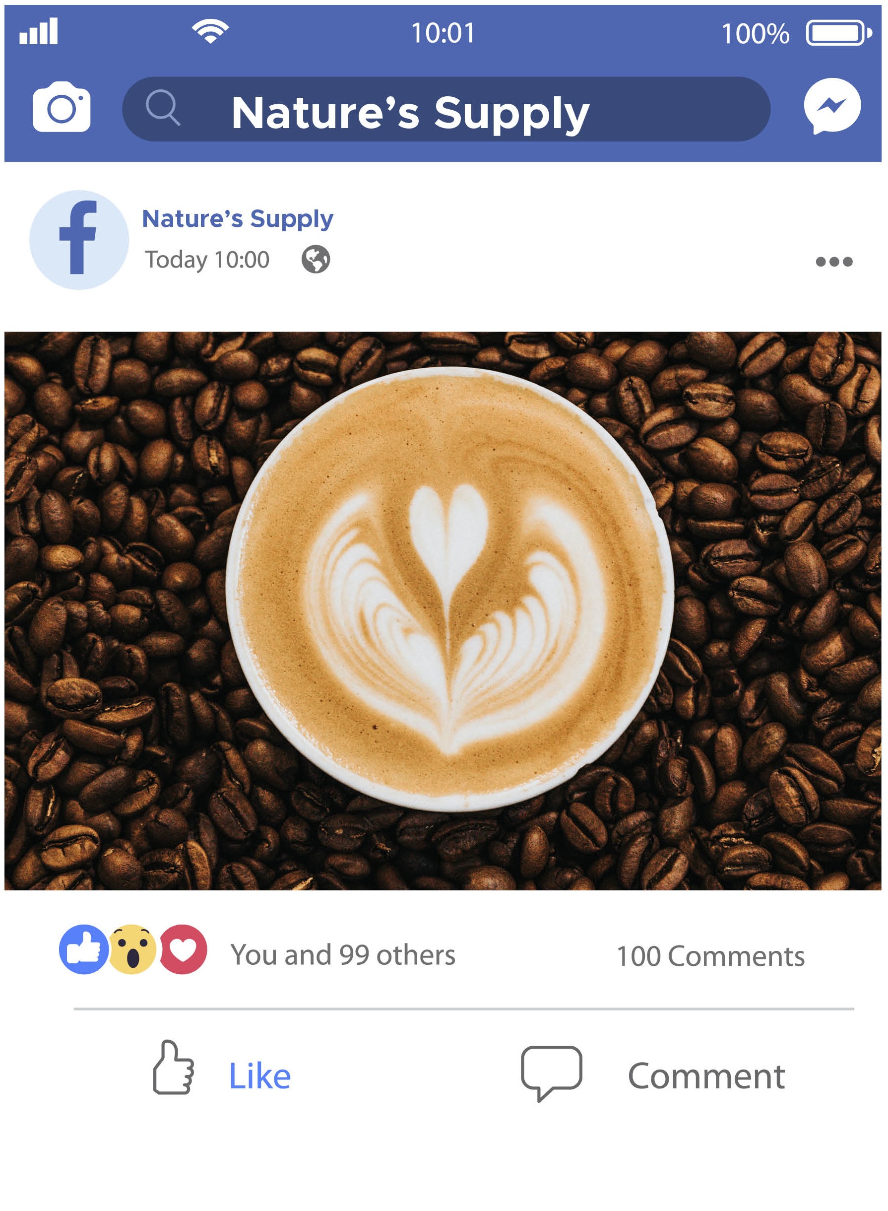 facebook page for Nature's Supply